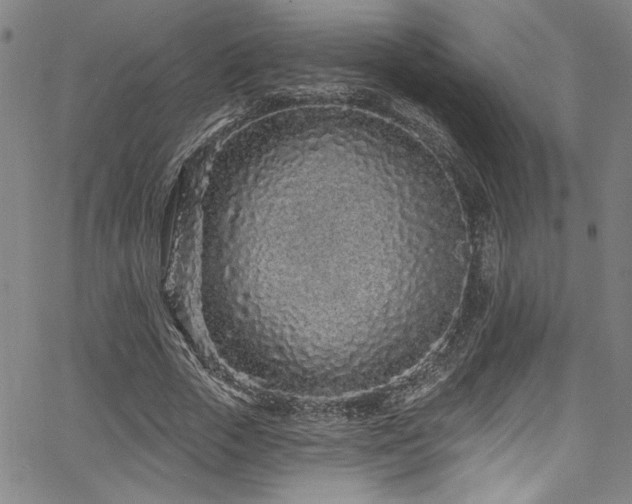 X0000067920729200604131408