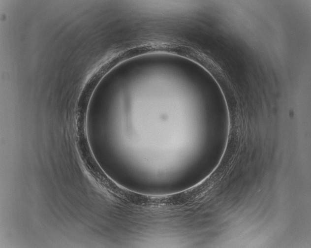 X0000067920730200604131408