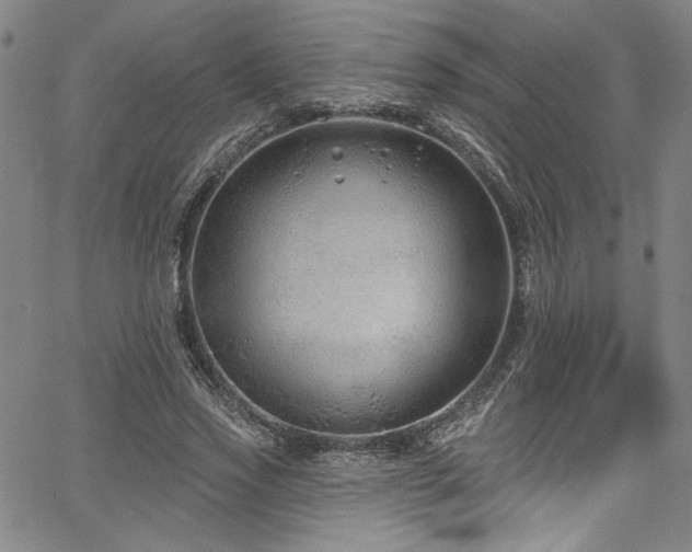 X0000067920733200604131408