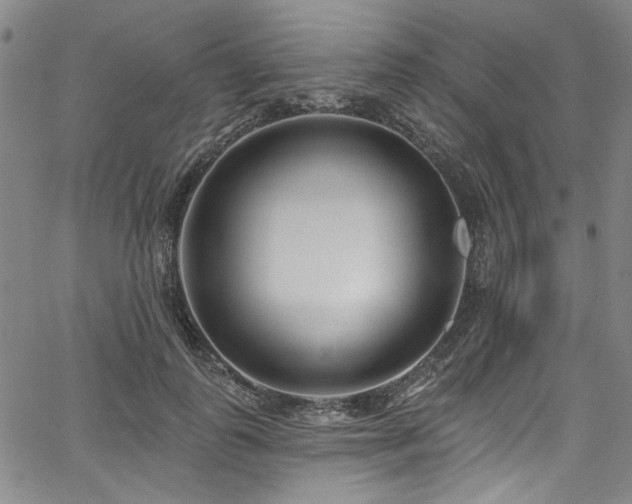 X0000067920747200604131408