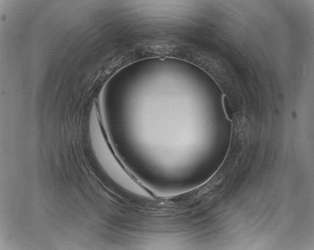 X0000067920752200604131408
