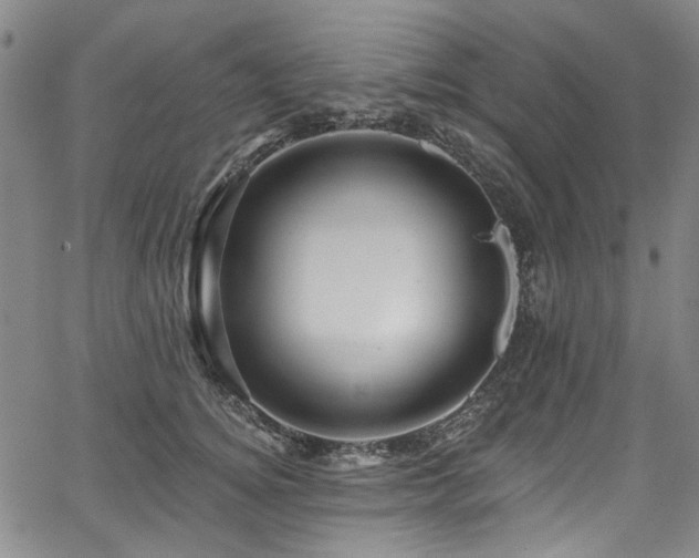 X0000067920756200604131408
