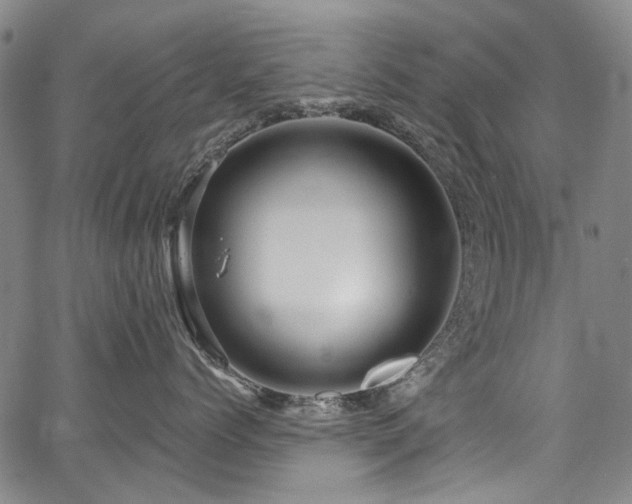 X0000067920768200604131408