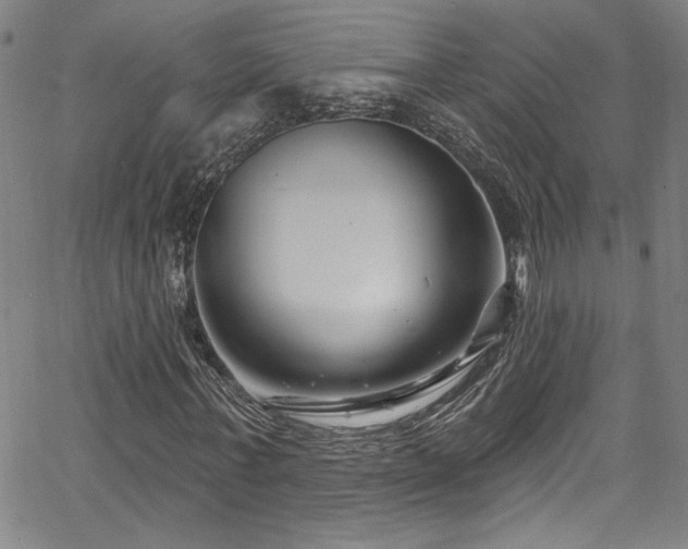 X0000067920771200604131408