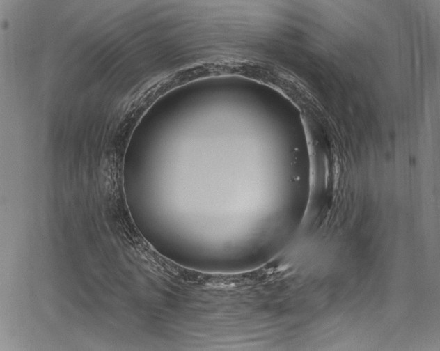 X0000067920773200604131408