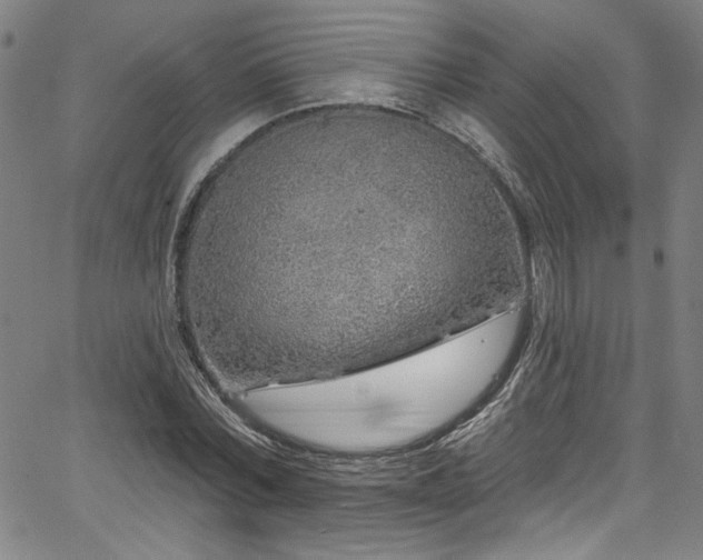 X0000067920780200604131407