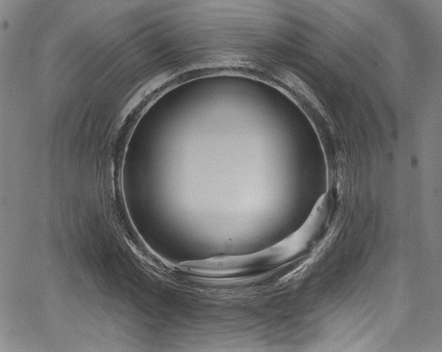 X0000067920781200604131407
