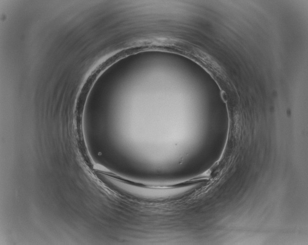 X0000067920784200604131407