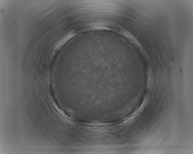 X0000067920785200604131407