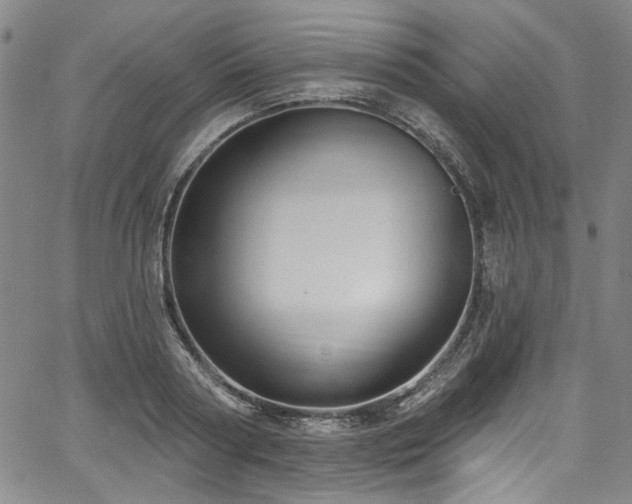 X0000067920794200604131407