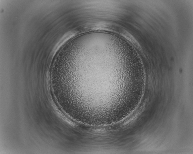 X0000067920798200604131407