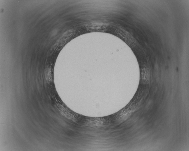 X0000067920820200604131406