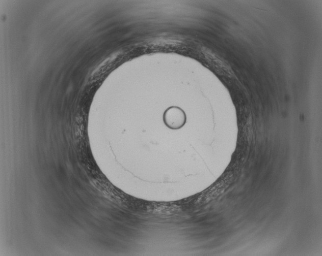 X0000067920824200604131406
