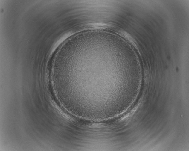 X0000067920835200604131406