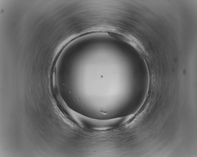 X0000067920854200604131407