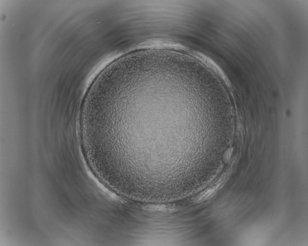 X0000067920855200604131407