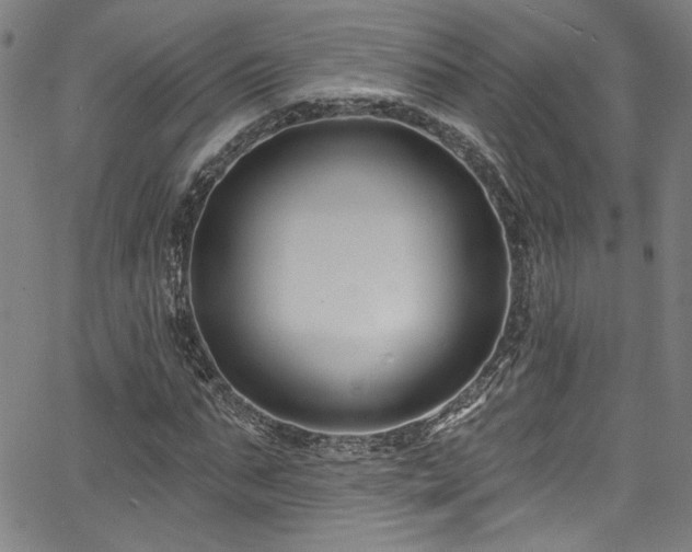 X0000067920871200604131406