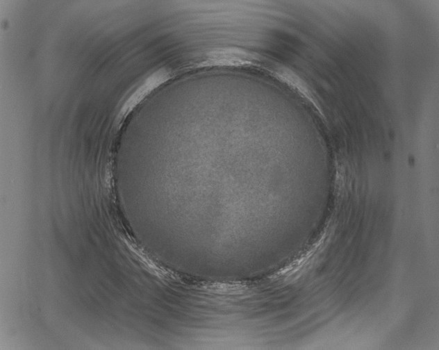 X0000067920874200604131406