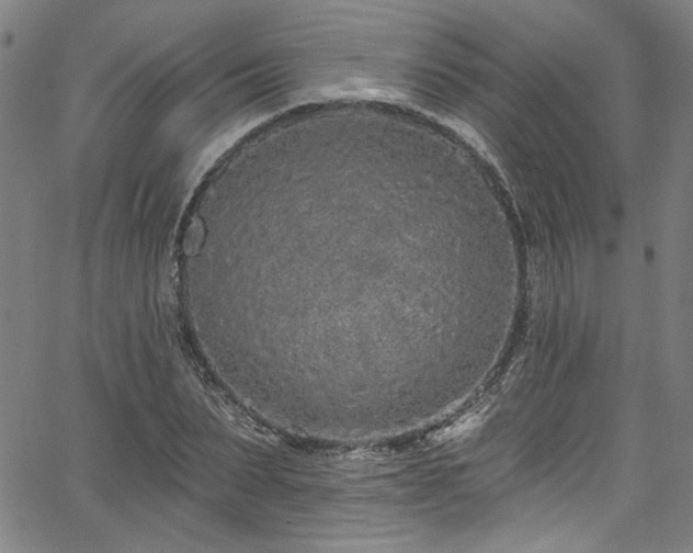 X0000067920879200604131406