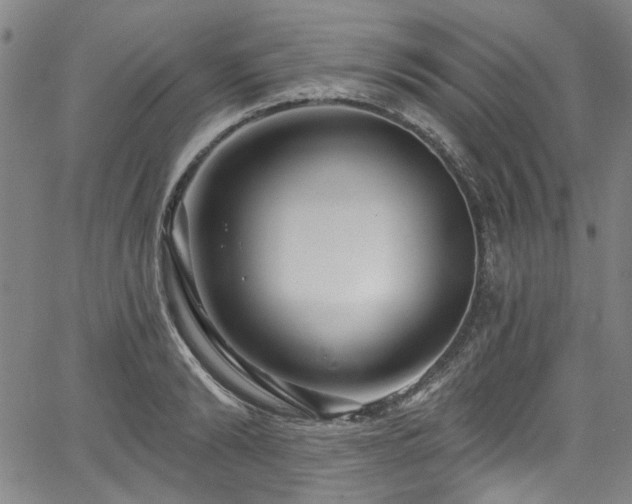 X0000067920894200604131406