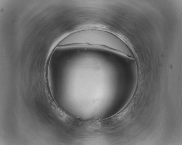 X0000067920912200604131405