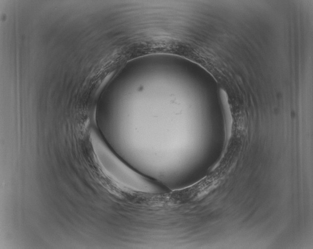X0000067920916200604131405