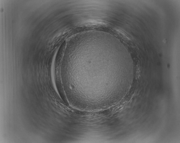 X0000067920917200604131405