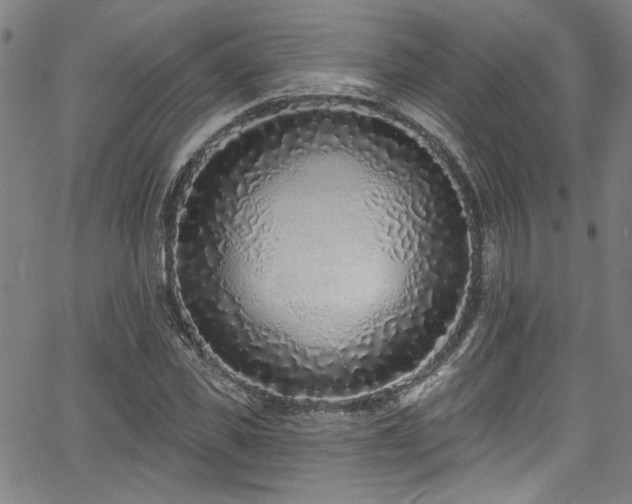 X0000067920925200604131405