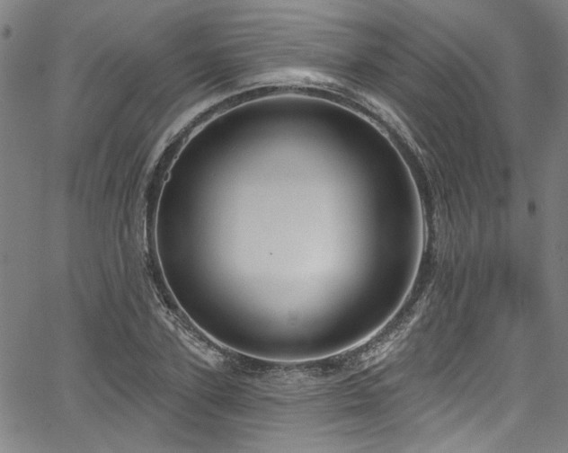 X0000067920931200604131405