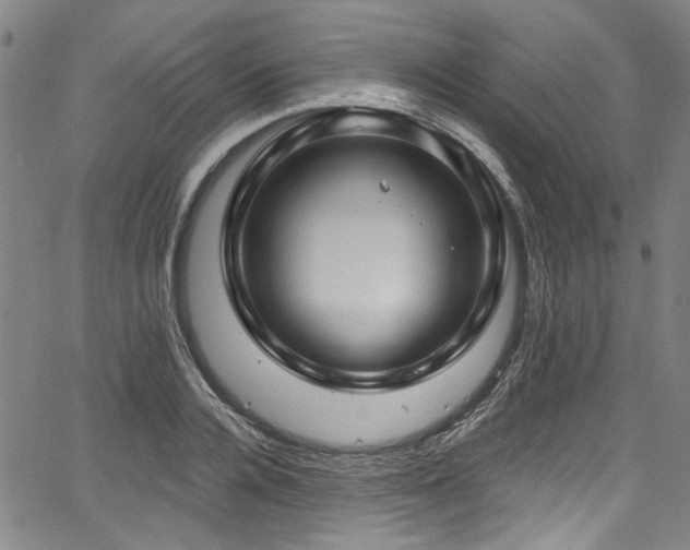 X0000067920936200604131405