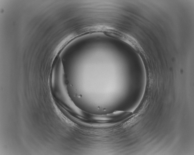 X0000067920946200604131405