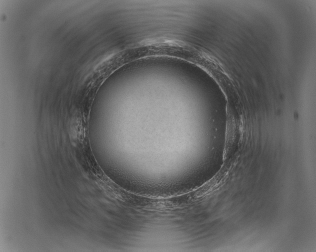 X0000067920966200604131404