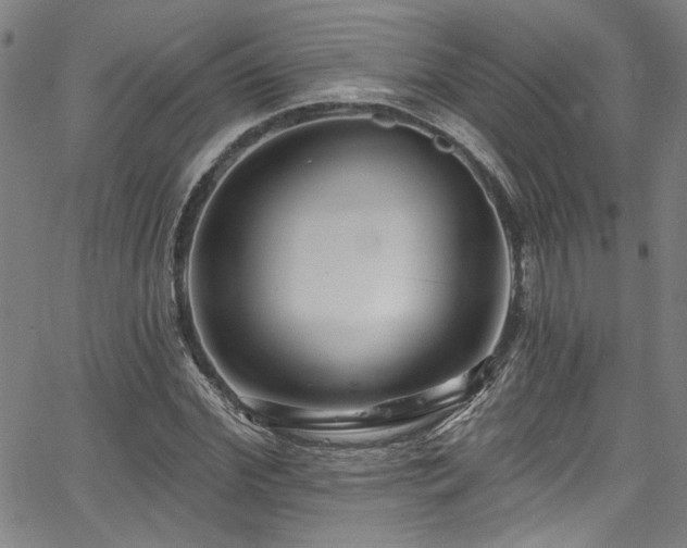 X0000067920972200604131404