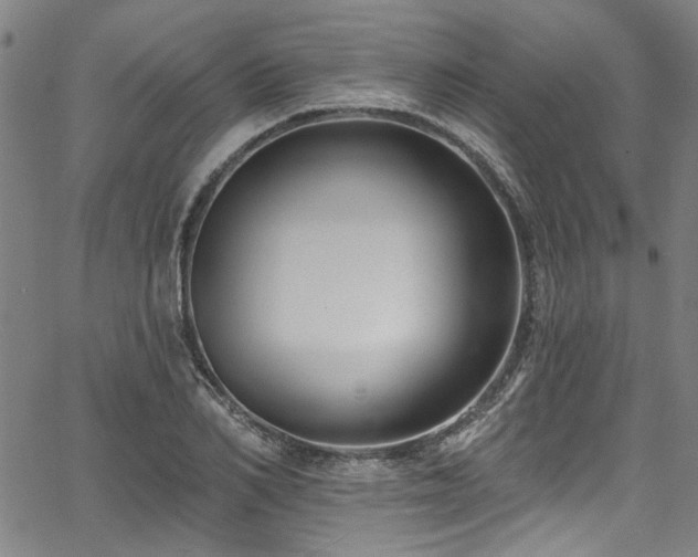 X0000067920982200604131404