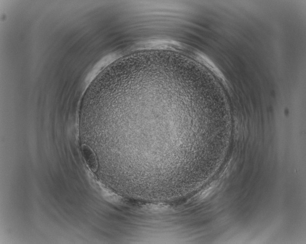 X0000067920994200604131404