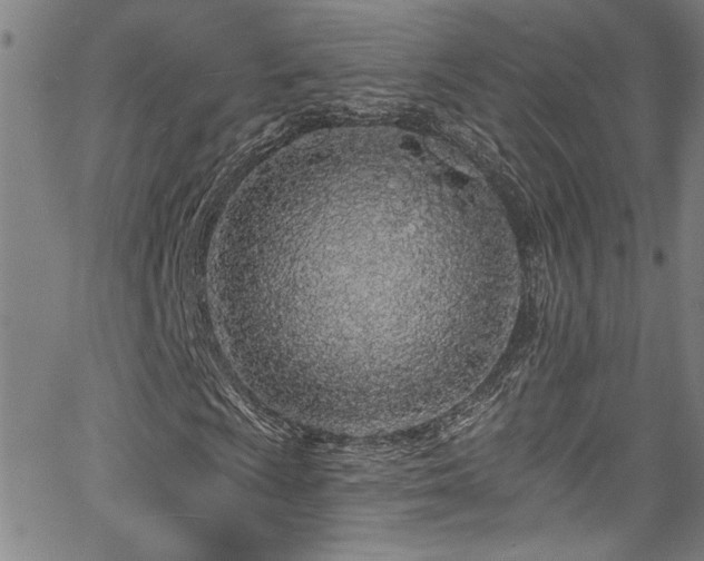 X0000067921009200604131403
