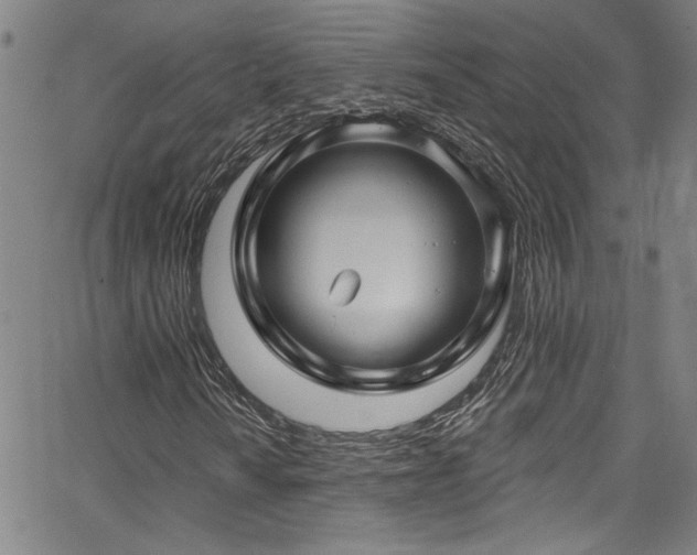 X0000067921010200604131403