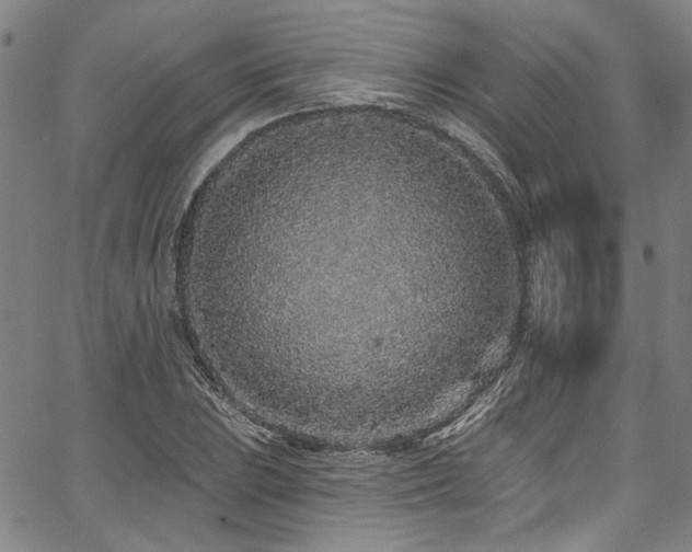 X0000067921023200604131403