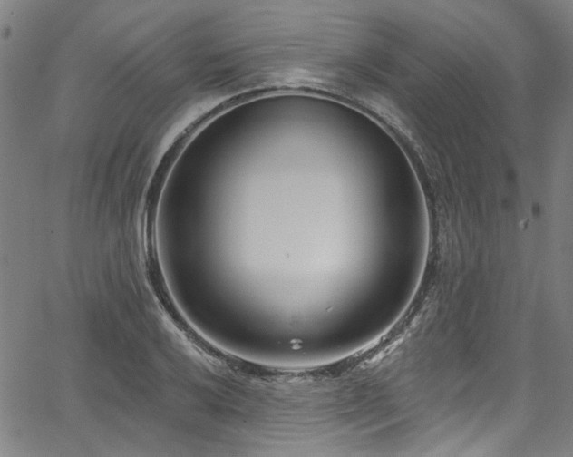 X0000067921032200604131403