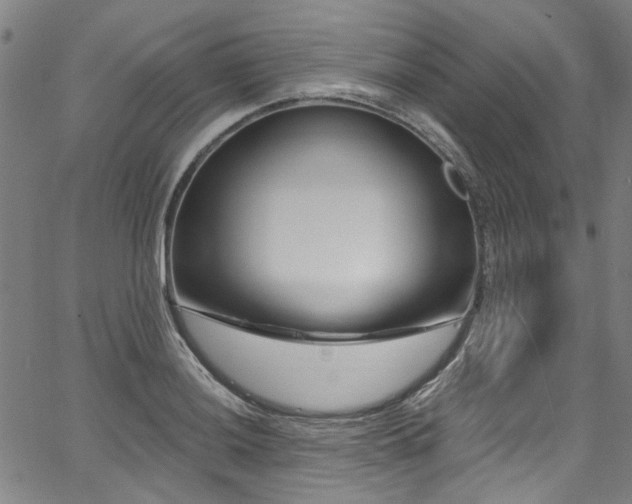 X0000067921036200604131403