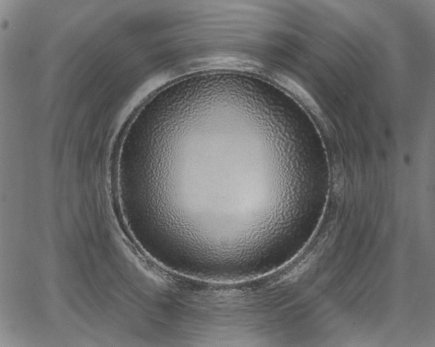 X0000067921043200604131403