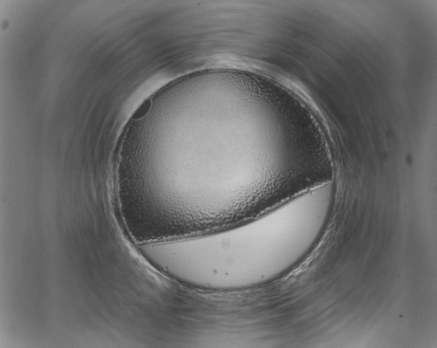 X0000067921048200604131404