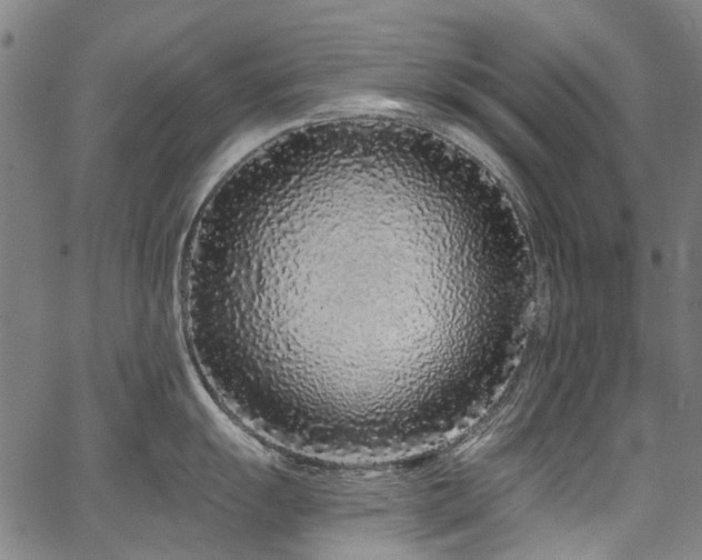 X0000067921055200604131404