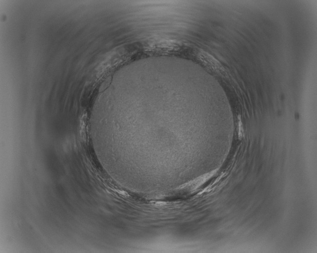 X0000067921059200604131403