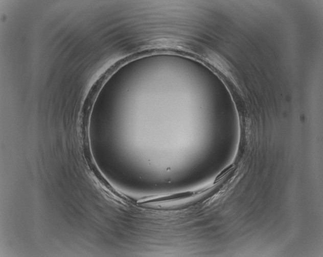 X0000067921068200604131403