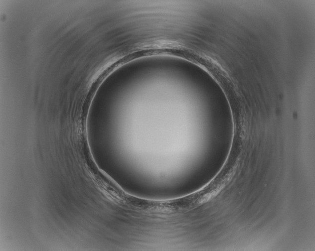 X0000067921073200604131403