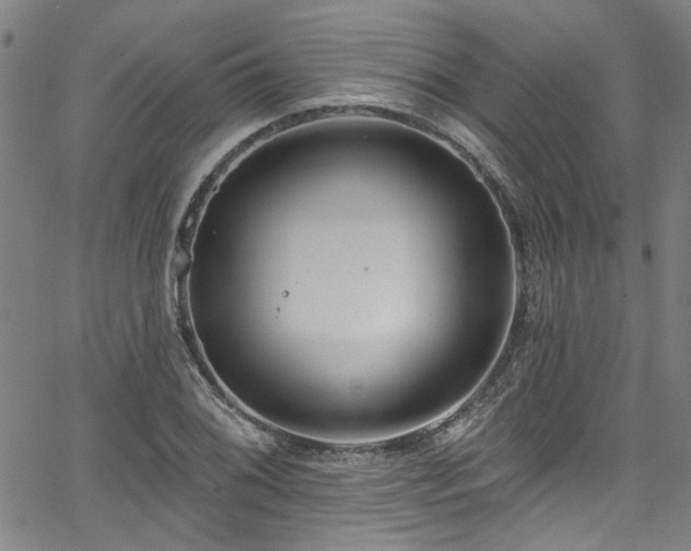 X0000067921076200604131403