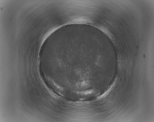 X0000067921077200604131403