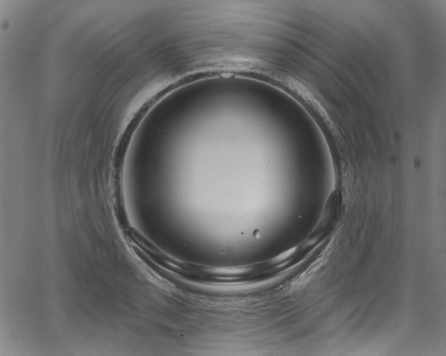 X0000067921085200604131402