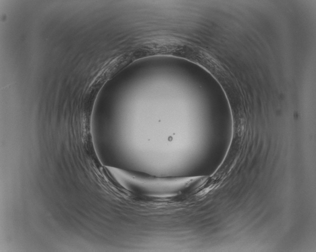 X0000067921108200604131401